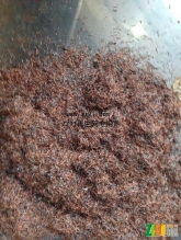 有色金属废料 城市矿山中的绿色宝藏